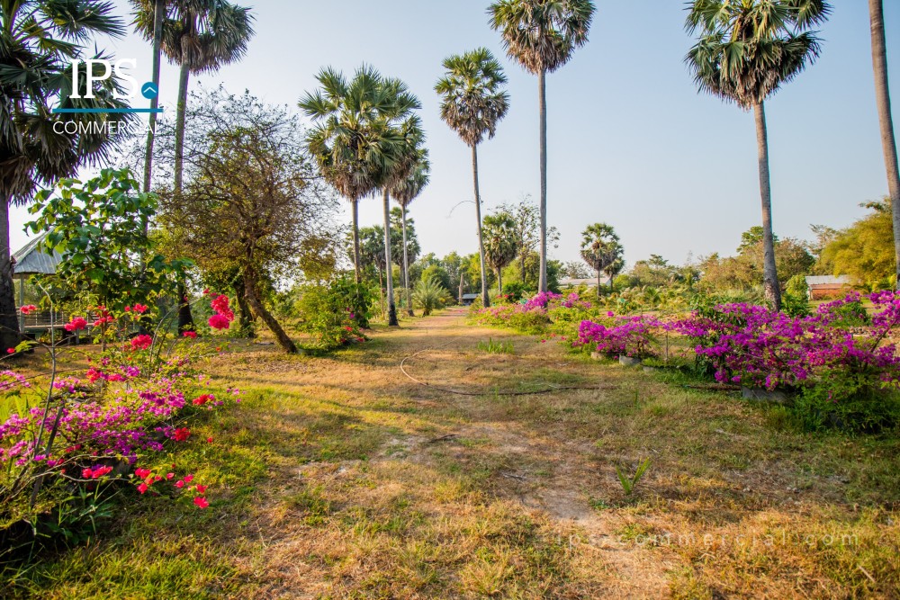 15,261 Sqm Land For Sale – Puok, Siem Reap